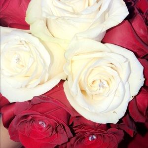 Meet your Posher, Alejandra